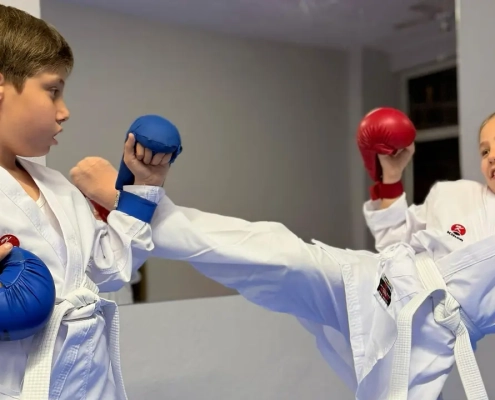 Kerberos Spor İzmir Bornova 7-14 yaş çocuk karate kursu antrenman görüntüsü